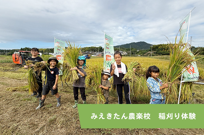 みえきたん農楽校　稲刈り体験